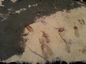 Handmade paper embedded with silk fibers and maple seeds.  