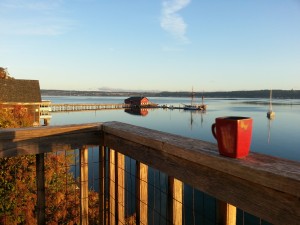This was my view one sunny morning.  Coupeville on Penn Cove of Whidbey Island is a beautiful place.  
